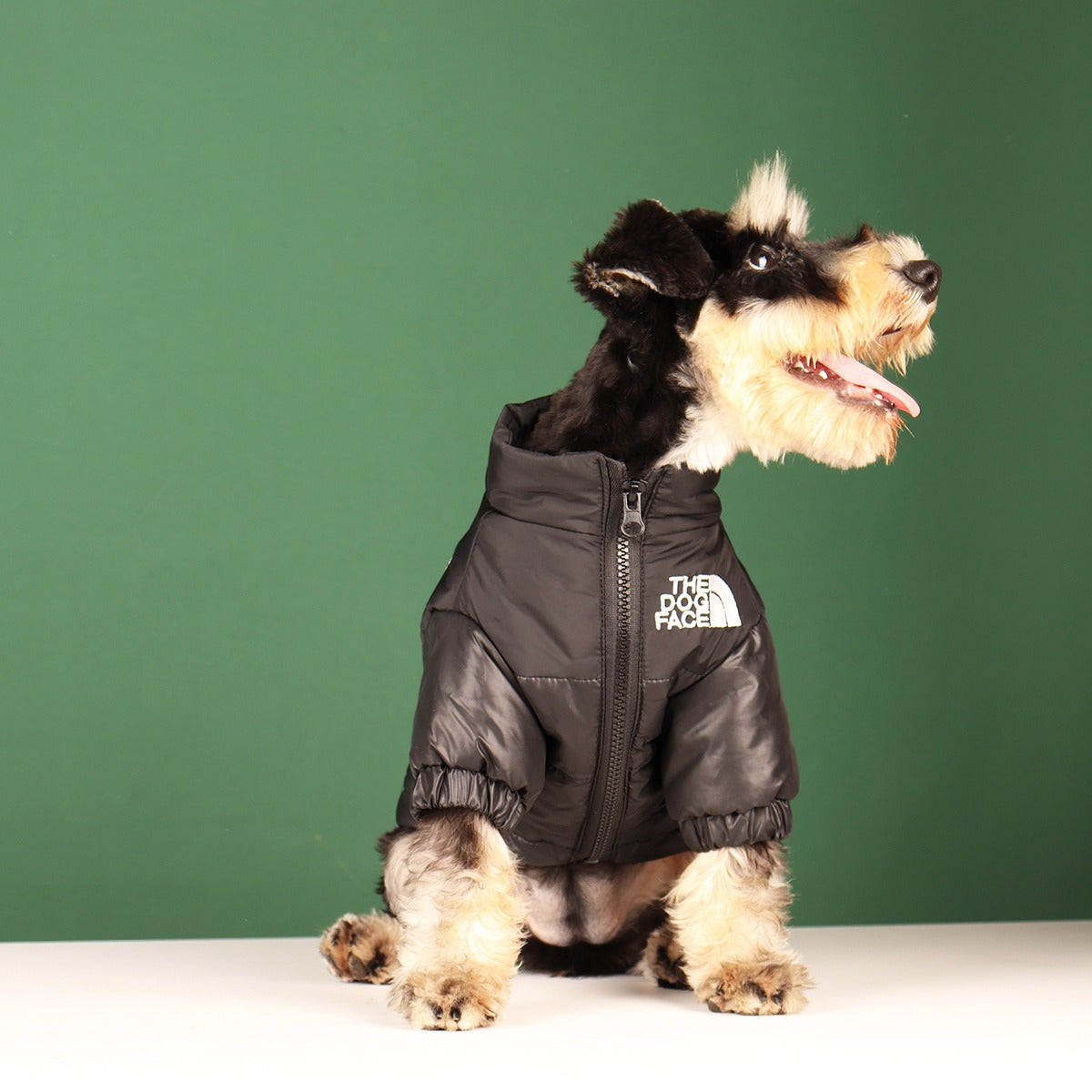 Pet Warm- DOG FACE- Coat - DromedarShop.com Online Boutique