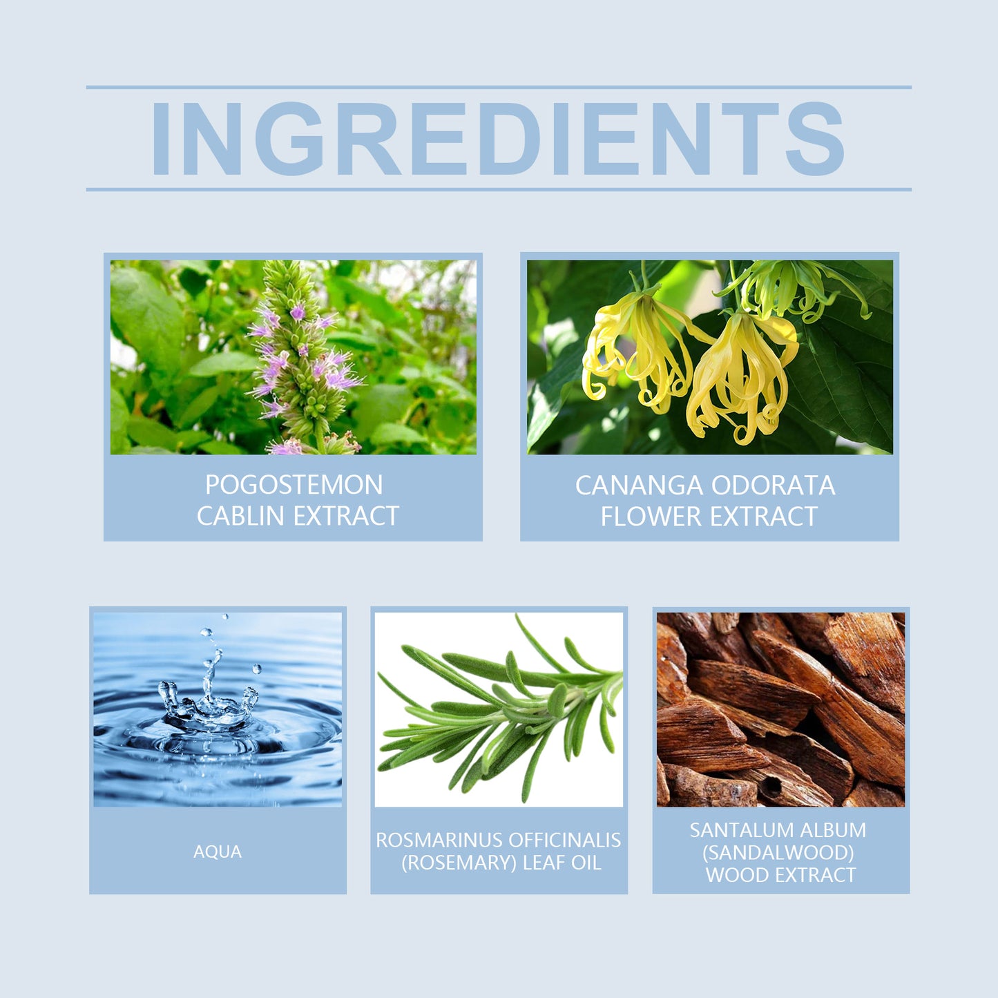 Seduction Perfume for Men – Natural Confidence & Charm