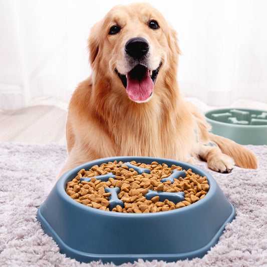 Anti-Choking Pet Slow Food Bowl Bone Shaped - DromedarShop.com Online Boutique