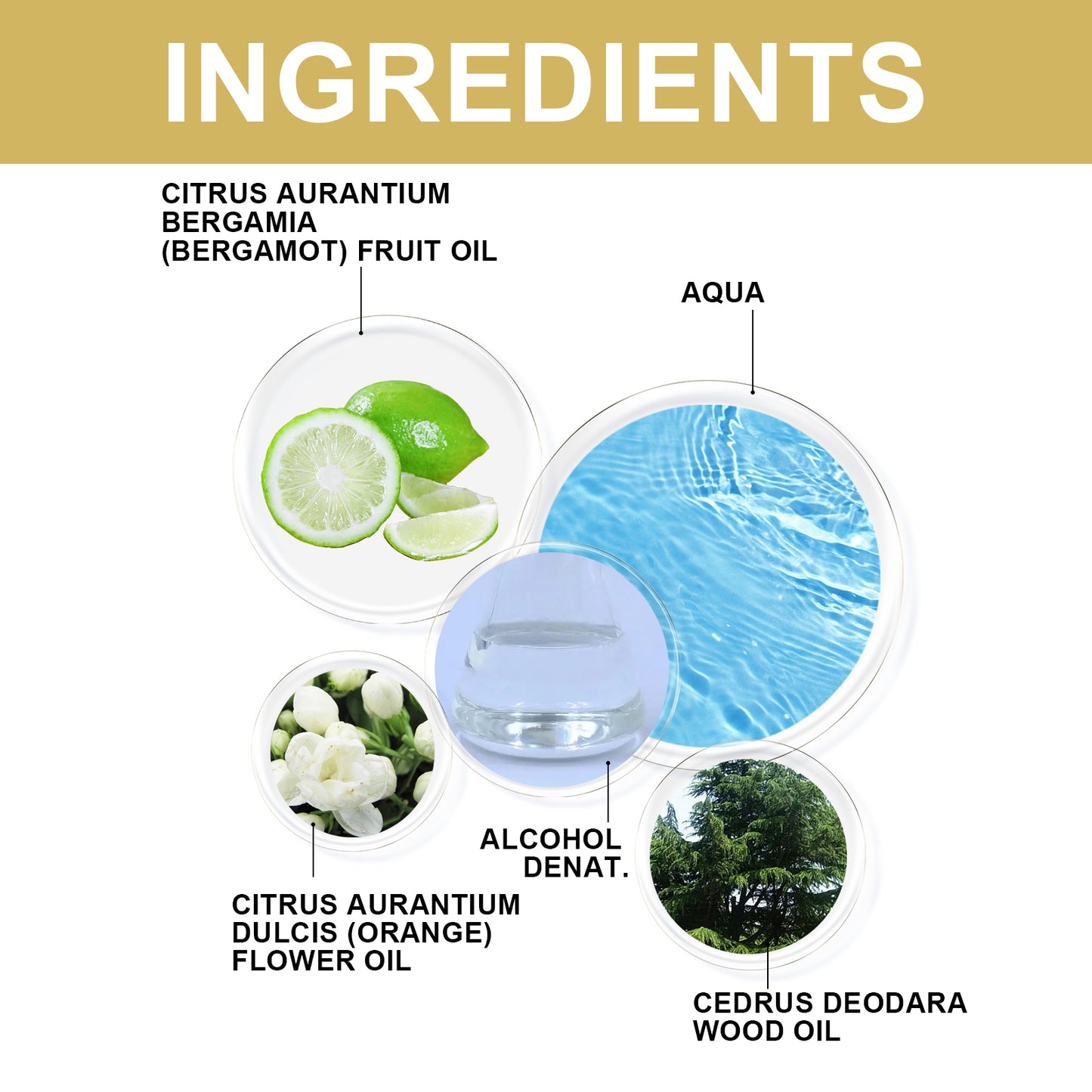 North Moon Eau de Parfum Pheromone – Fresh Citrus & Bergamot Mist for Lasting Charm