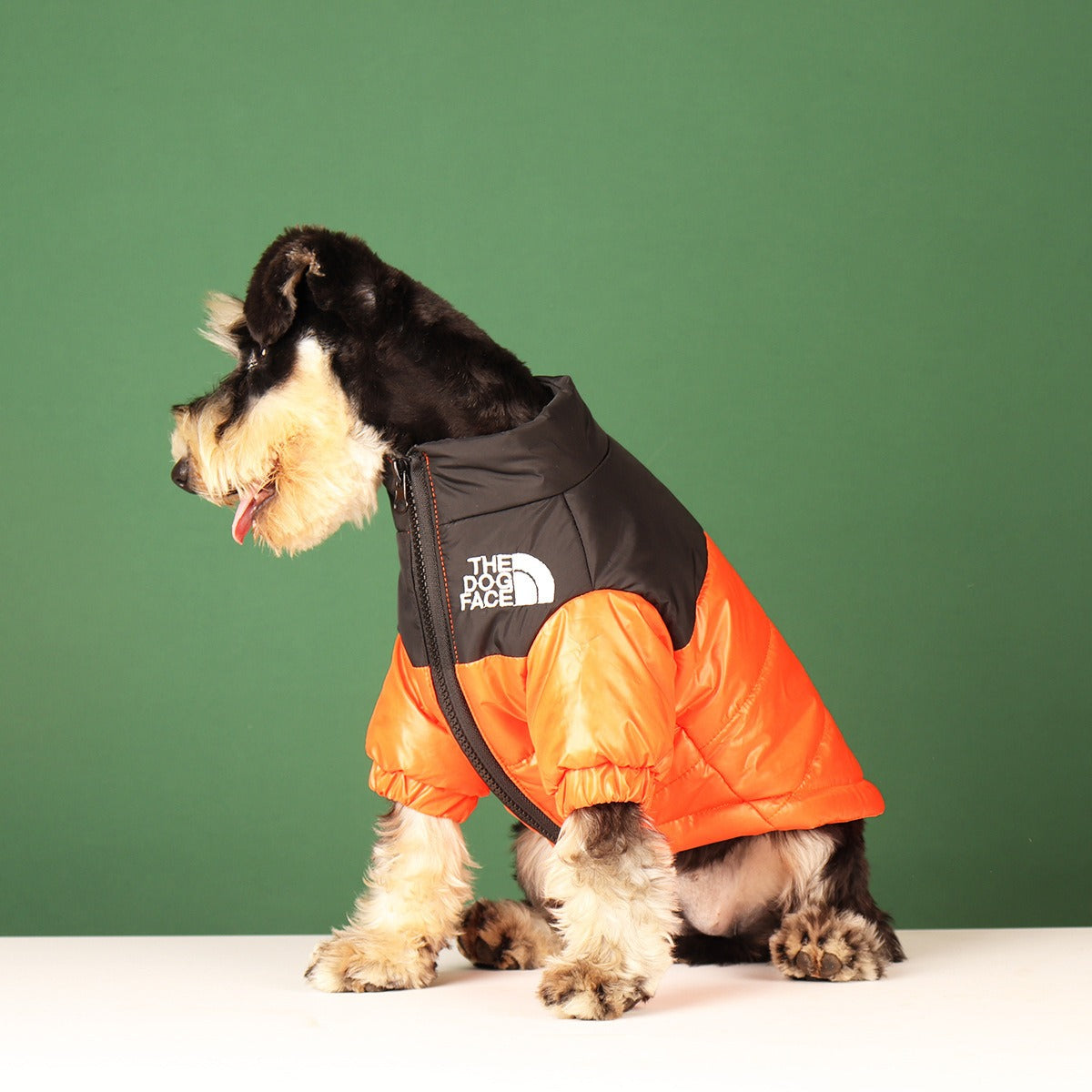 Pet Warm- DOG FACE- Coat - DromedarShop.com Online Boutique