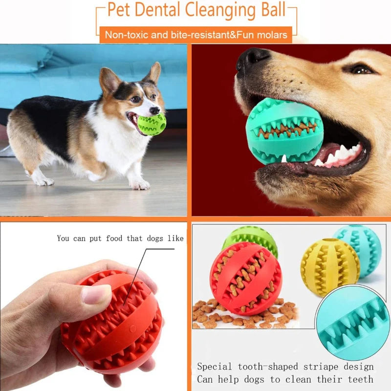 Pet Toy Interactive Rubber and Tooth Cleaning Ball
