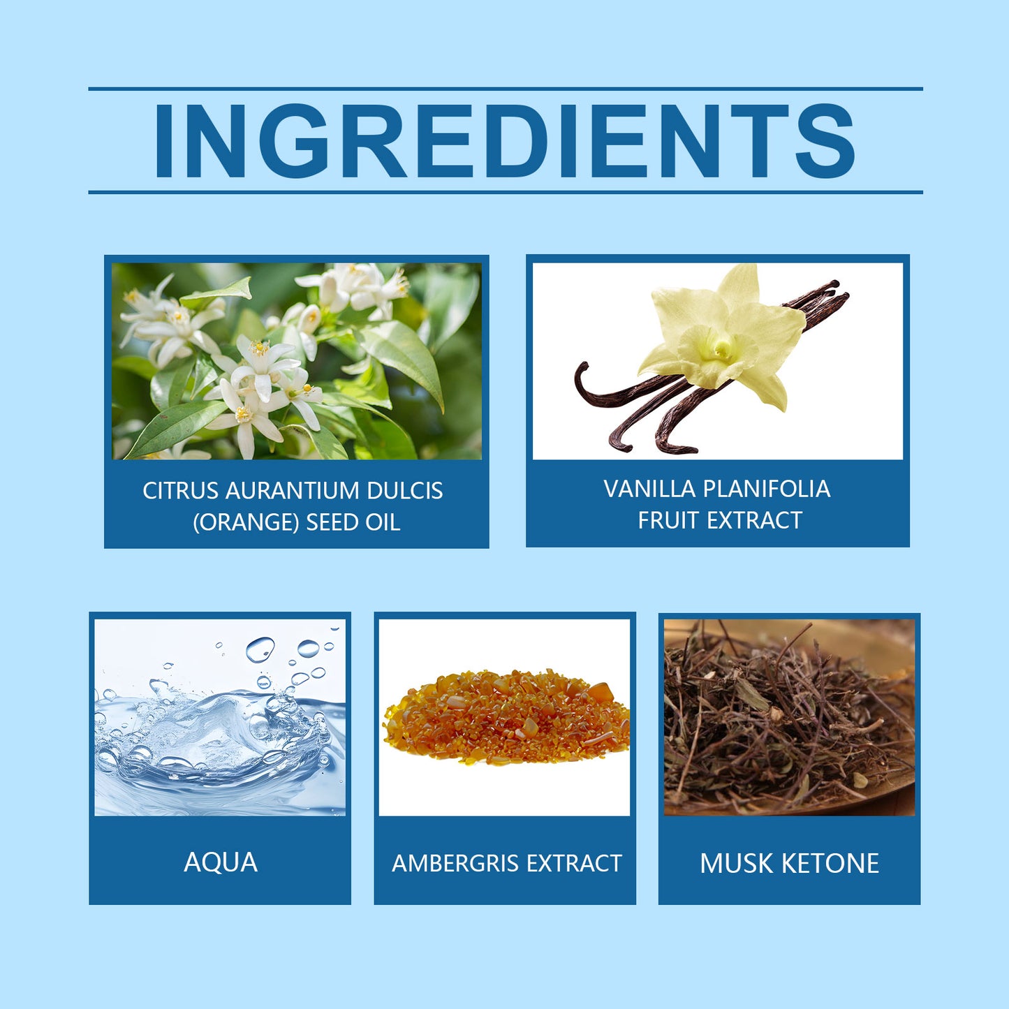 Noble Ambergris Blue Ocean Perfume for Men