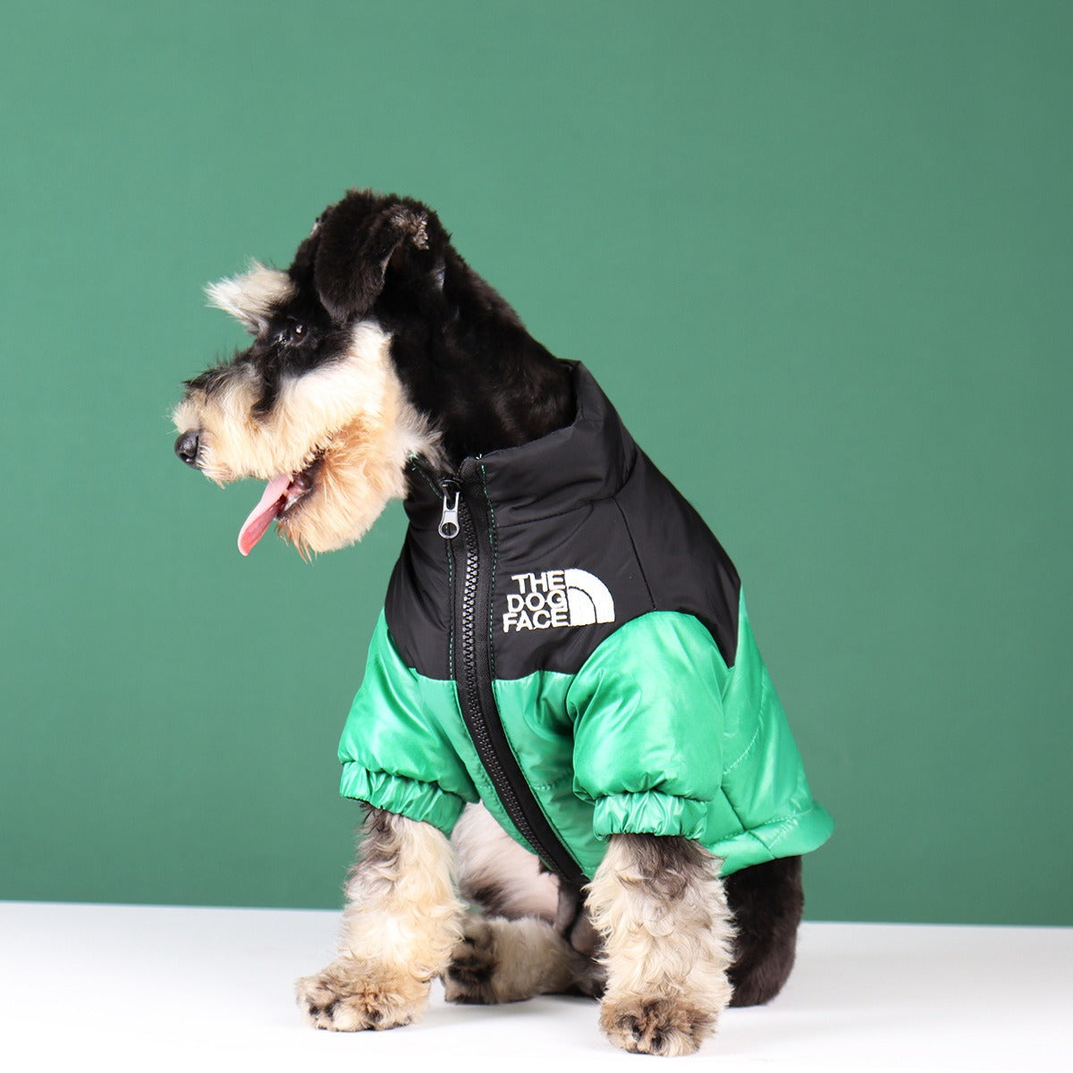 Pet Warm- DOG FACE- Coat - DromedarShop.com Online Boutique