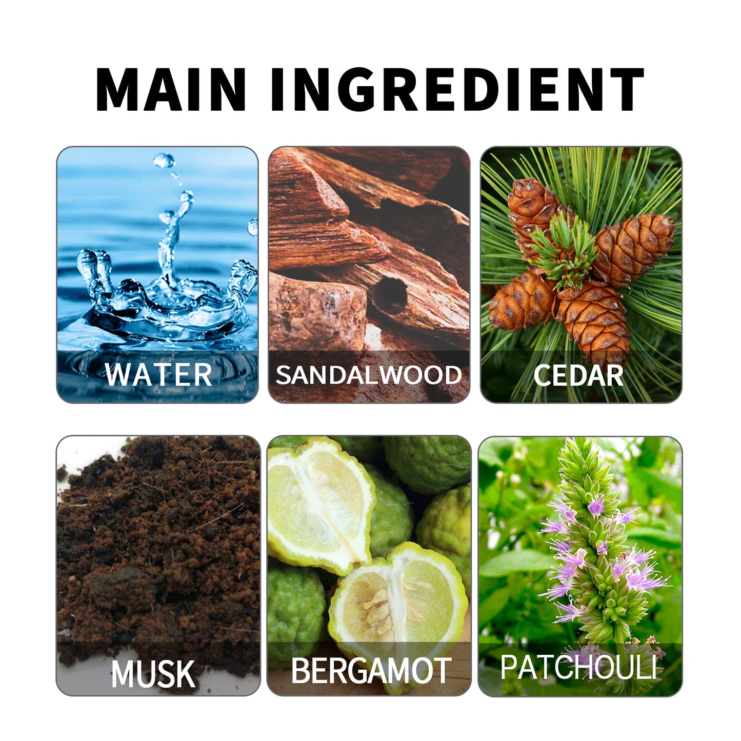 Seduction Fresh Perfume – Long-Lasting Natural Scent