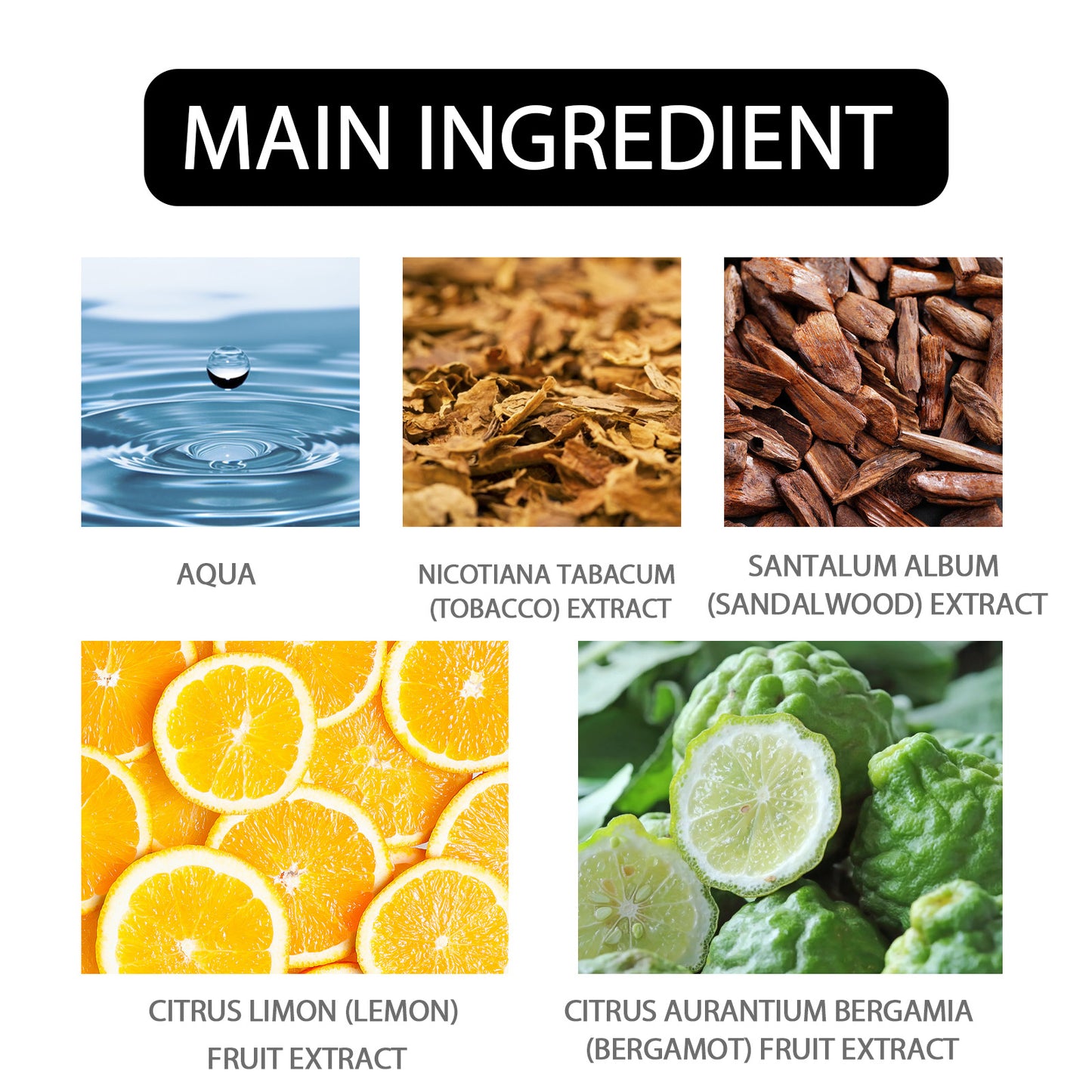 Neutral Wood Perfume Unisex