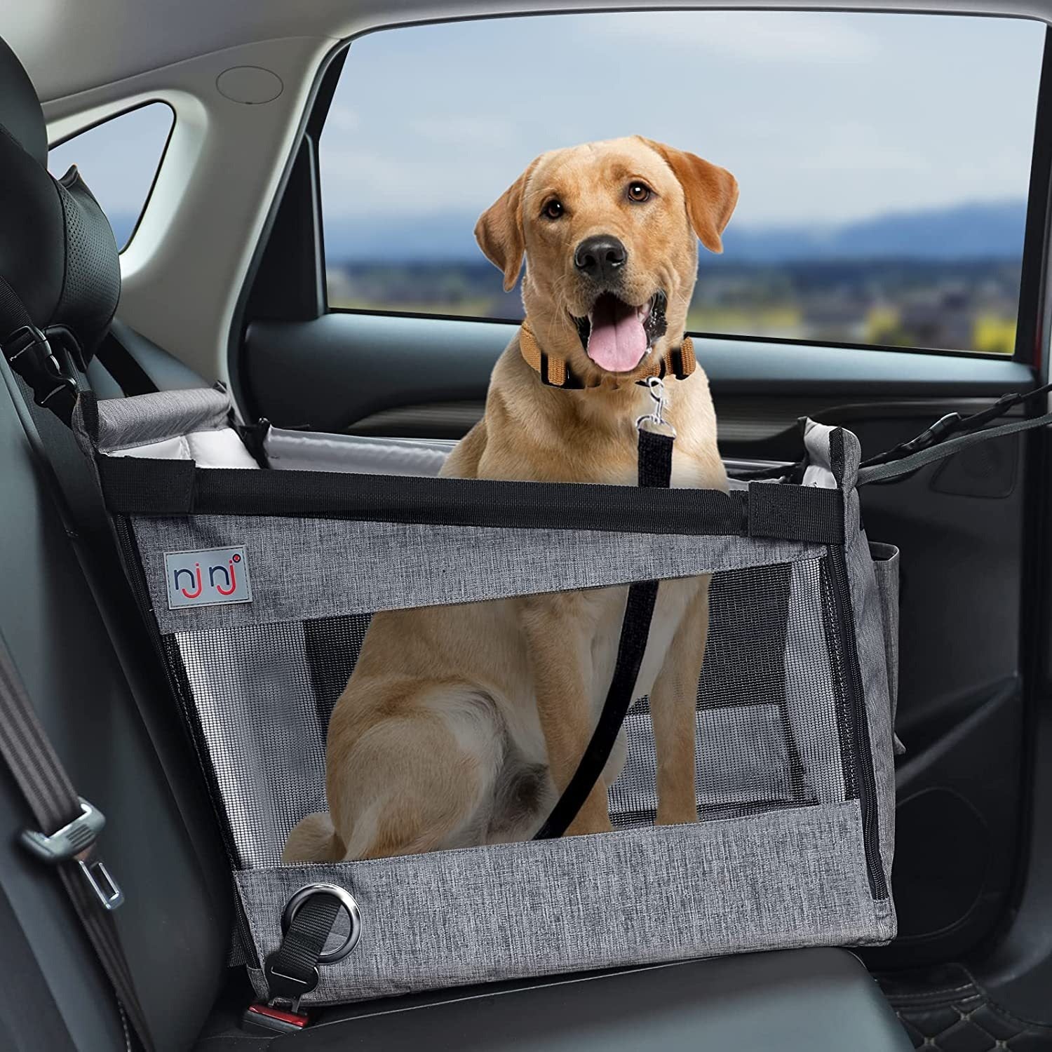 Car Pet Cage Car Rear Dog Basket Waterproof And Anti-Dirty - DromedarShop.com Online Boutique