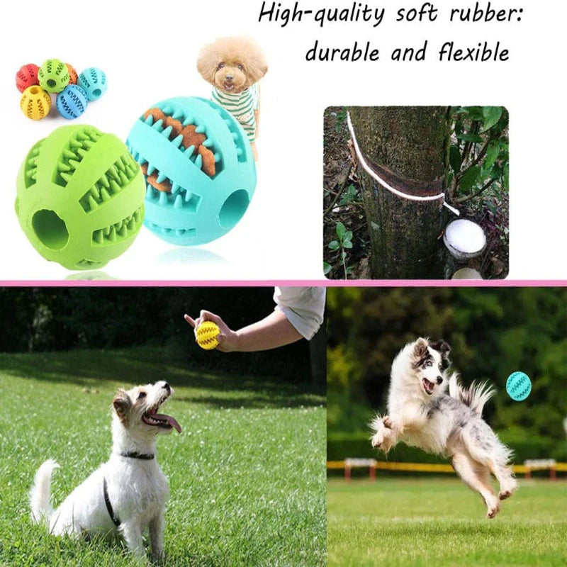 Pet Toy Interactive Rubber and Tooth Cleaning Ball