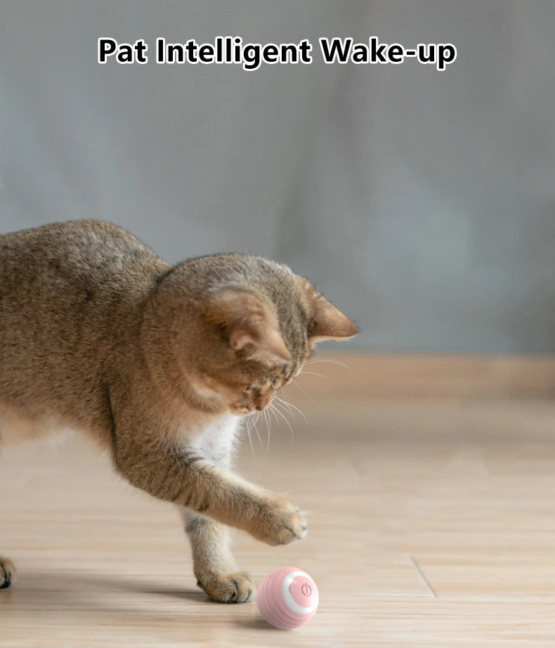 Interactive Ball Smart Cat Toys