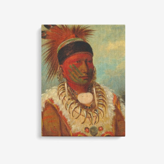 Indian Chief hand painted digital copy  Canvas Wall Art DromedarShop.com Online Boutique