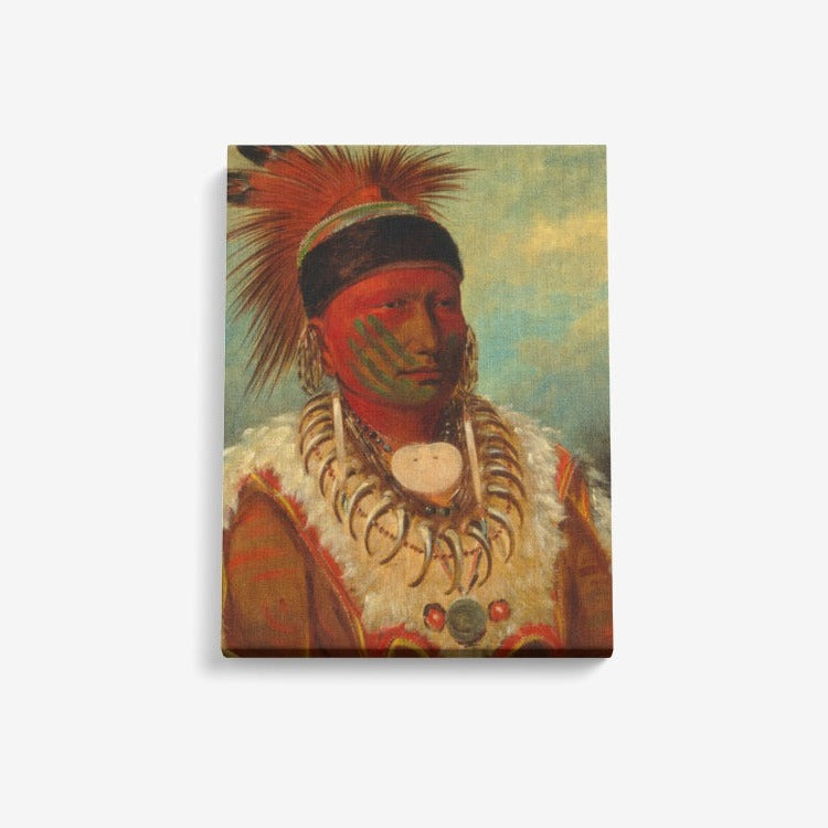 Indian Chief hand painted digital copy  Canvas Wall Art DromedarShop.com Online Boutique
