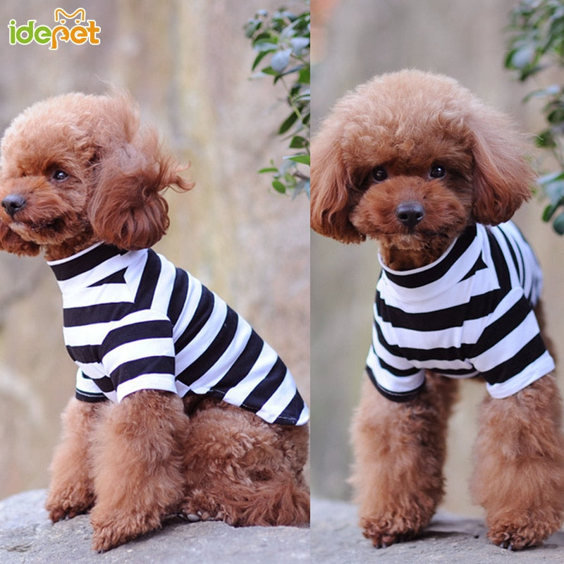 Pet Clothes For Small Dogs DromedarShop.com Online Boutique