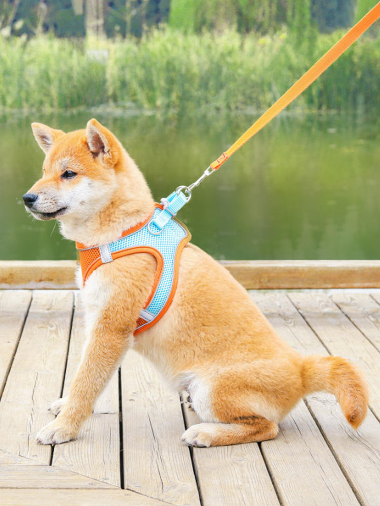 Pet Supplies Vest Pet Leash Cat Dog Chest Strap Breathable Reflective Dog Walking Chain DromedarShop.com Online Boutique