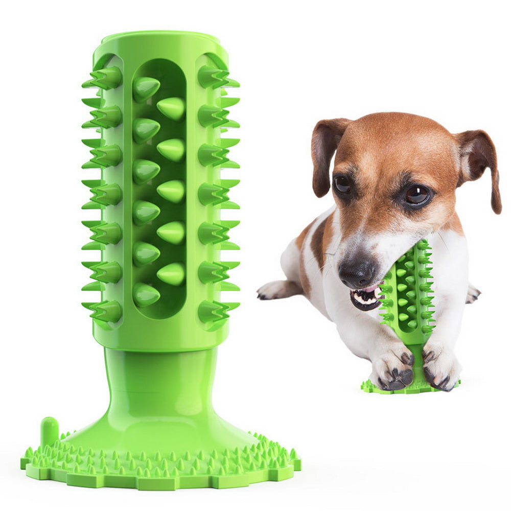 Dog Chew Toys Dog Toothbrush DromedarShop.com Online Boutique