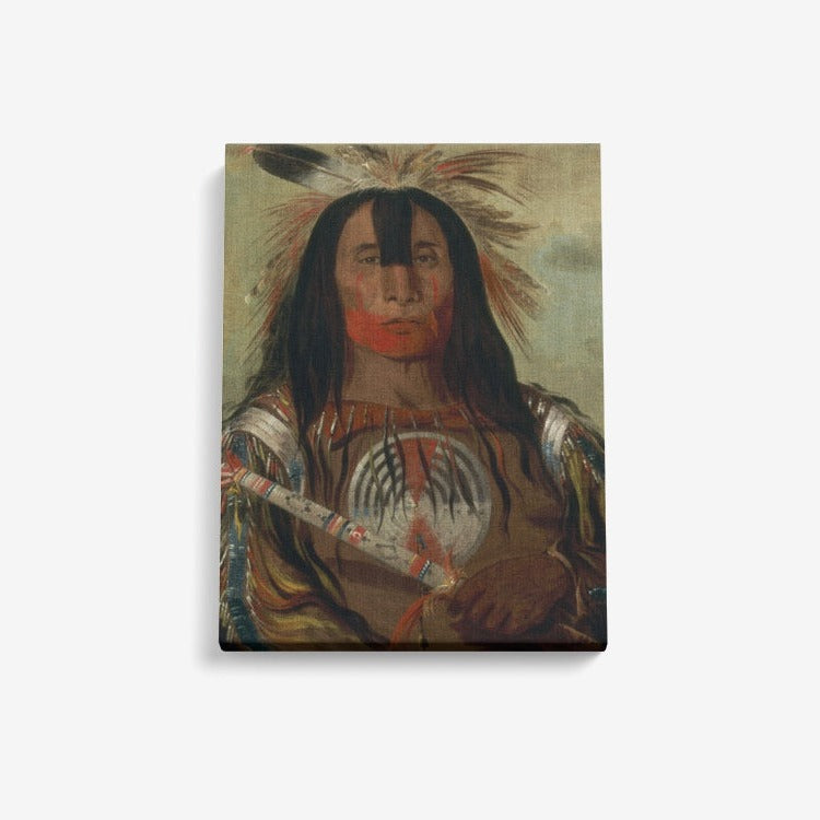 Indian Chief hand painted digital copy Canvas Wall Art DromedarShop.com Online Boutique